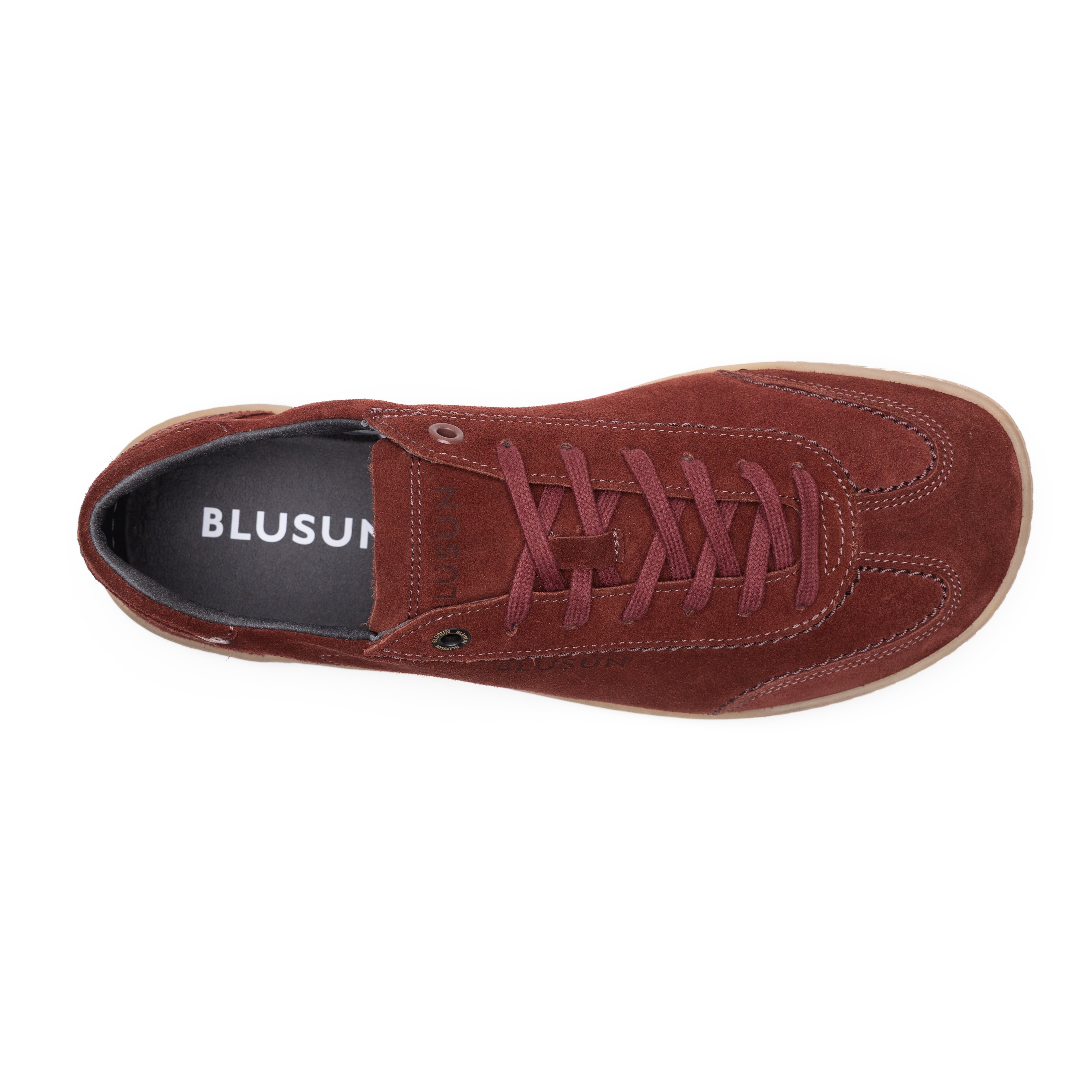 BLSN-220W rust