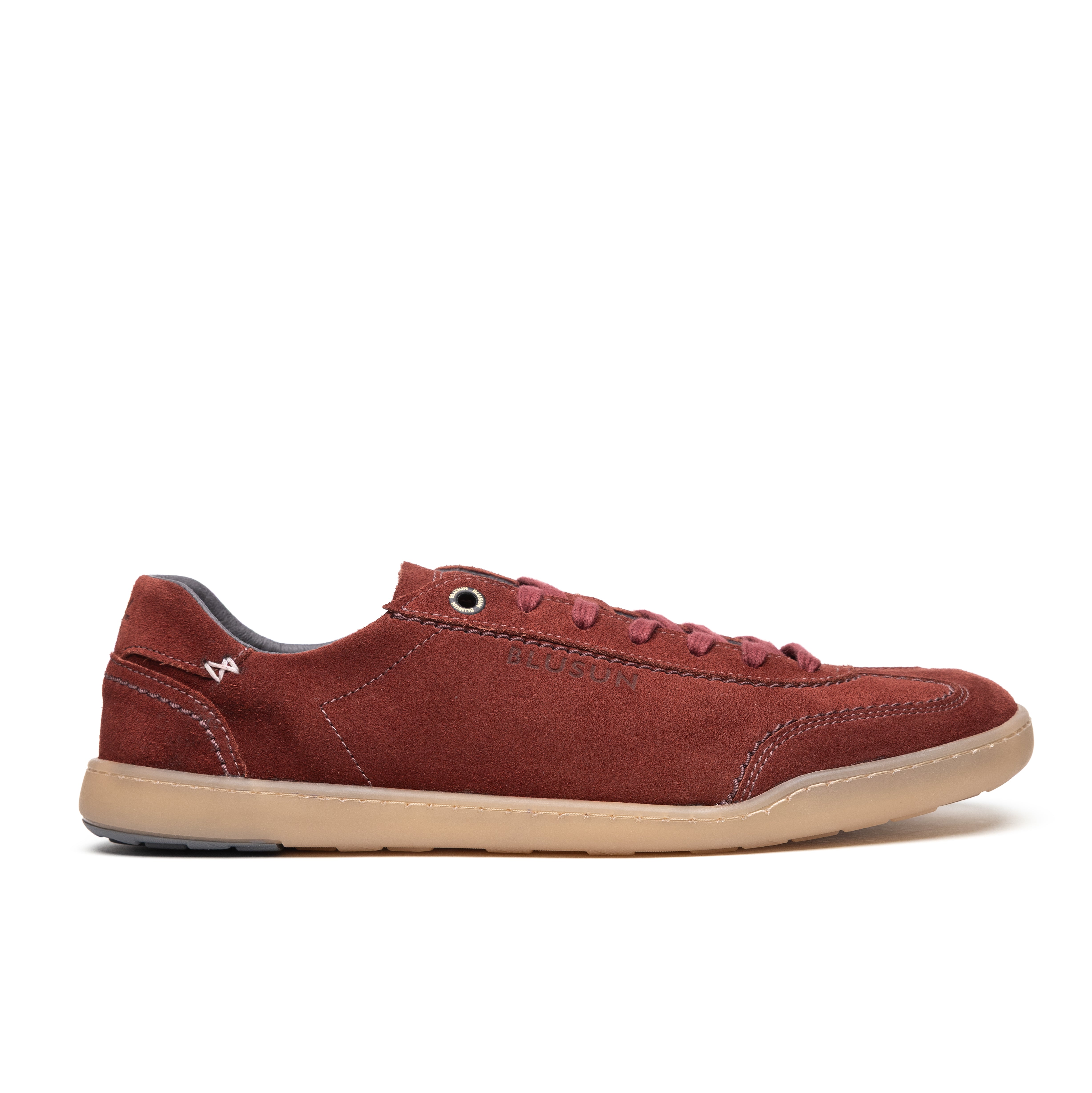 BLSN-220W rust